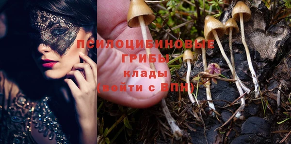 прущий лед Арсеньев