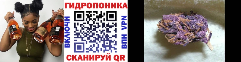 Шишки марихуана OG Kush Мосальск